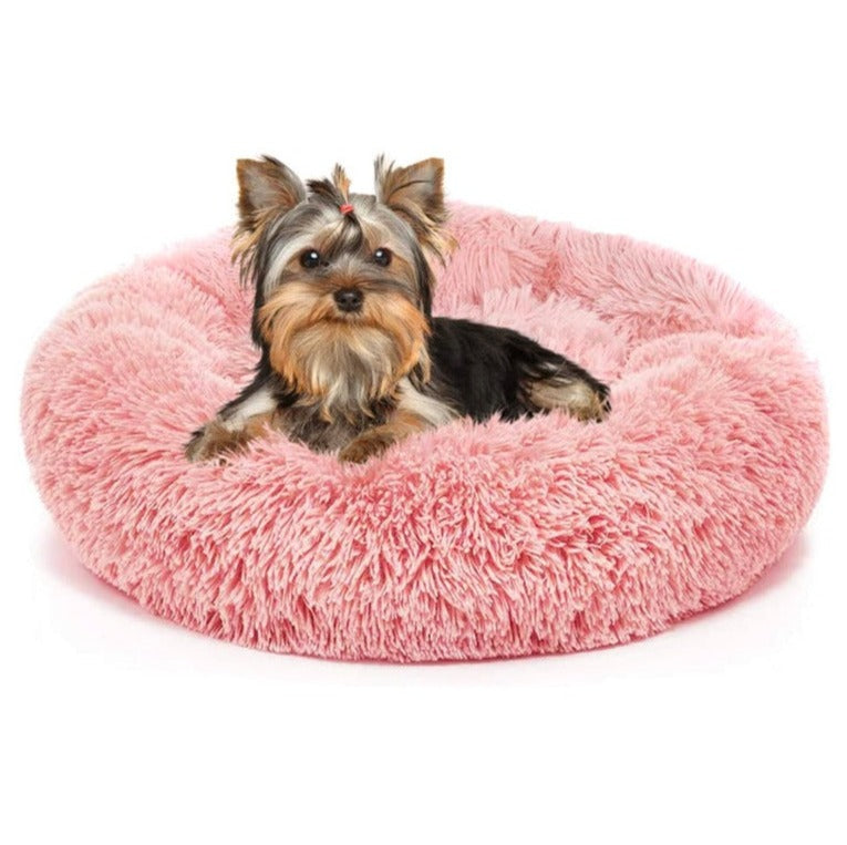 Maltese Calming Bed