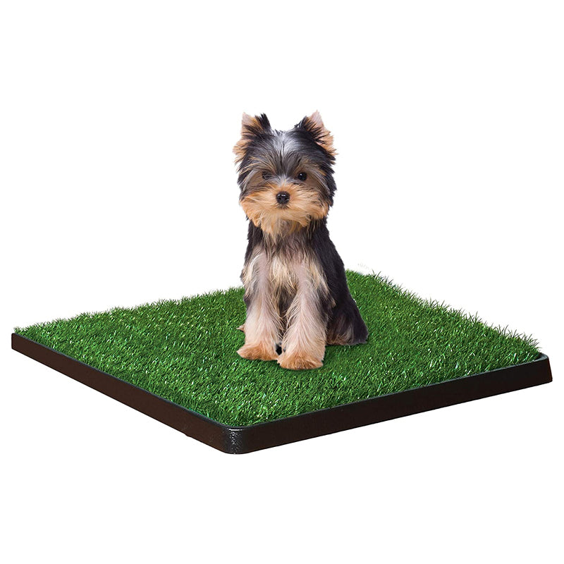 Grass Pee Pad