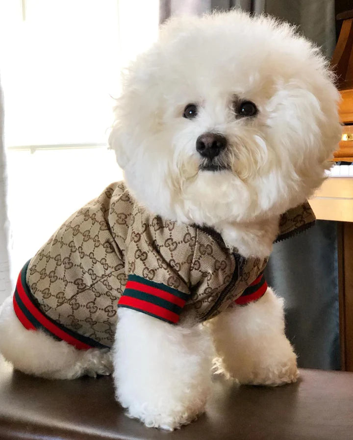 Stylish Dog Hoodie