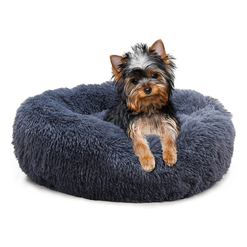Maltese Calming Bed