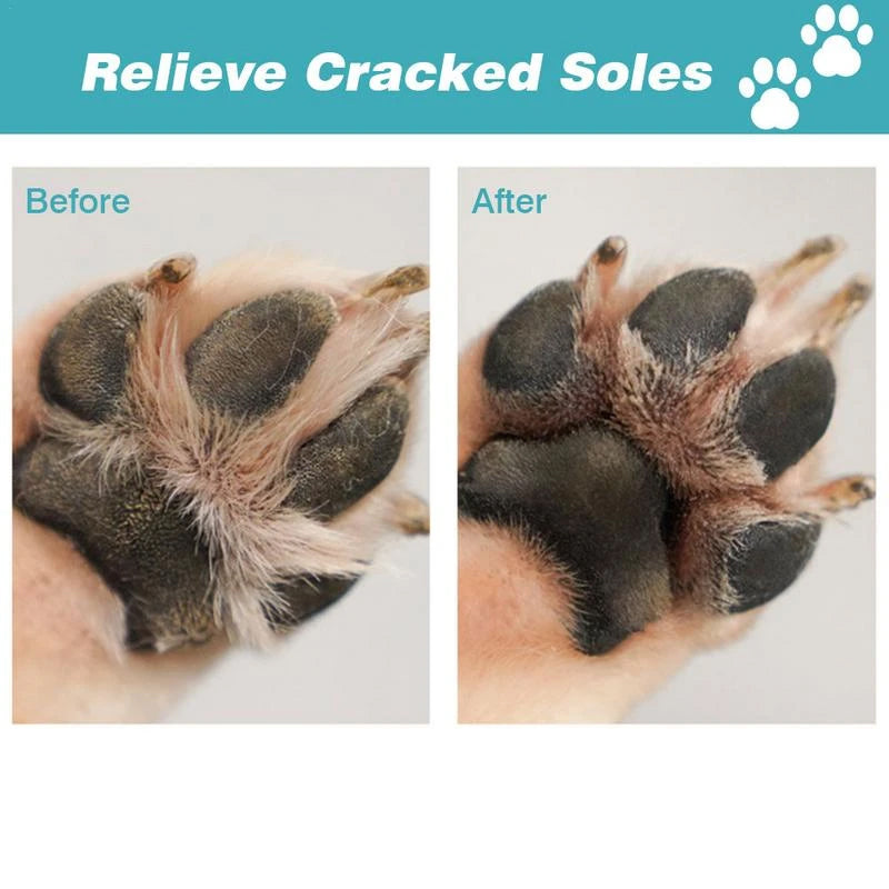 Maltese Paw Balm