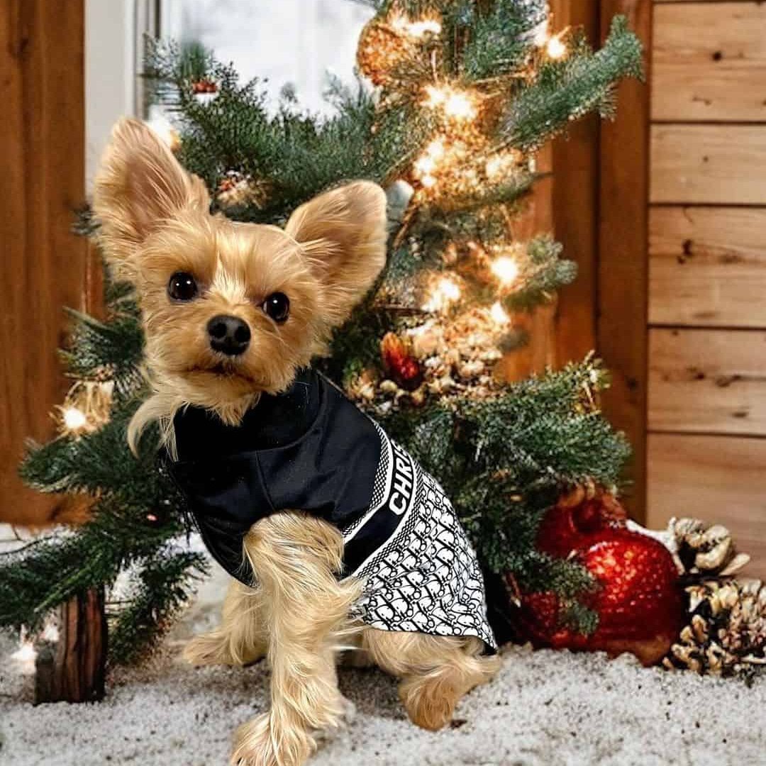 Designer Diordog Vest