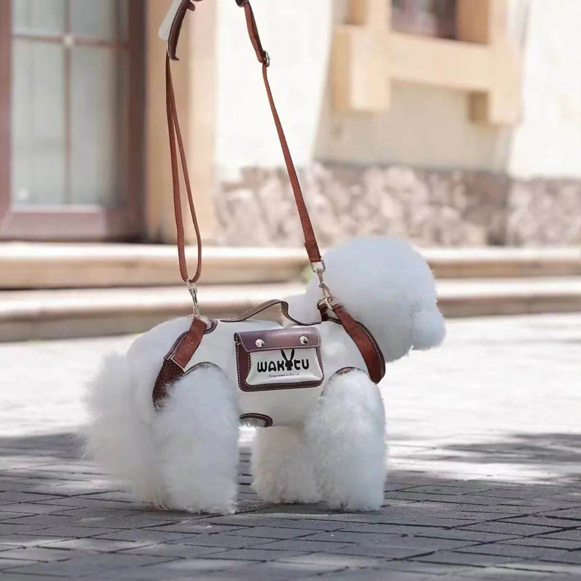 Pet Carry Bag