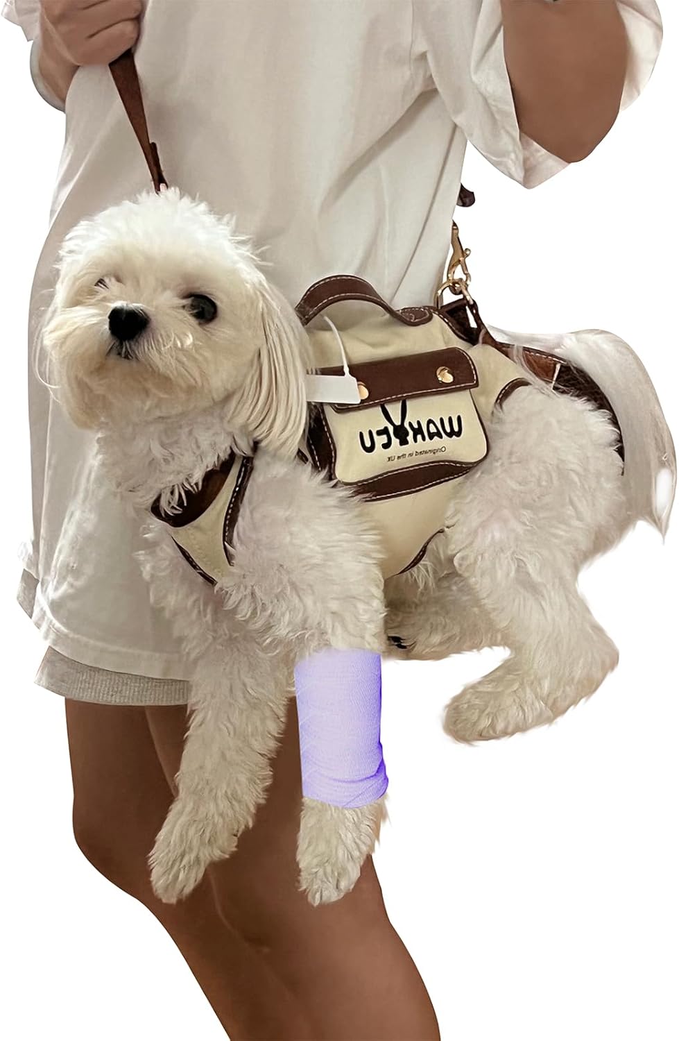 Pet Carry Bag