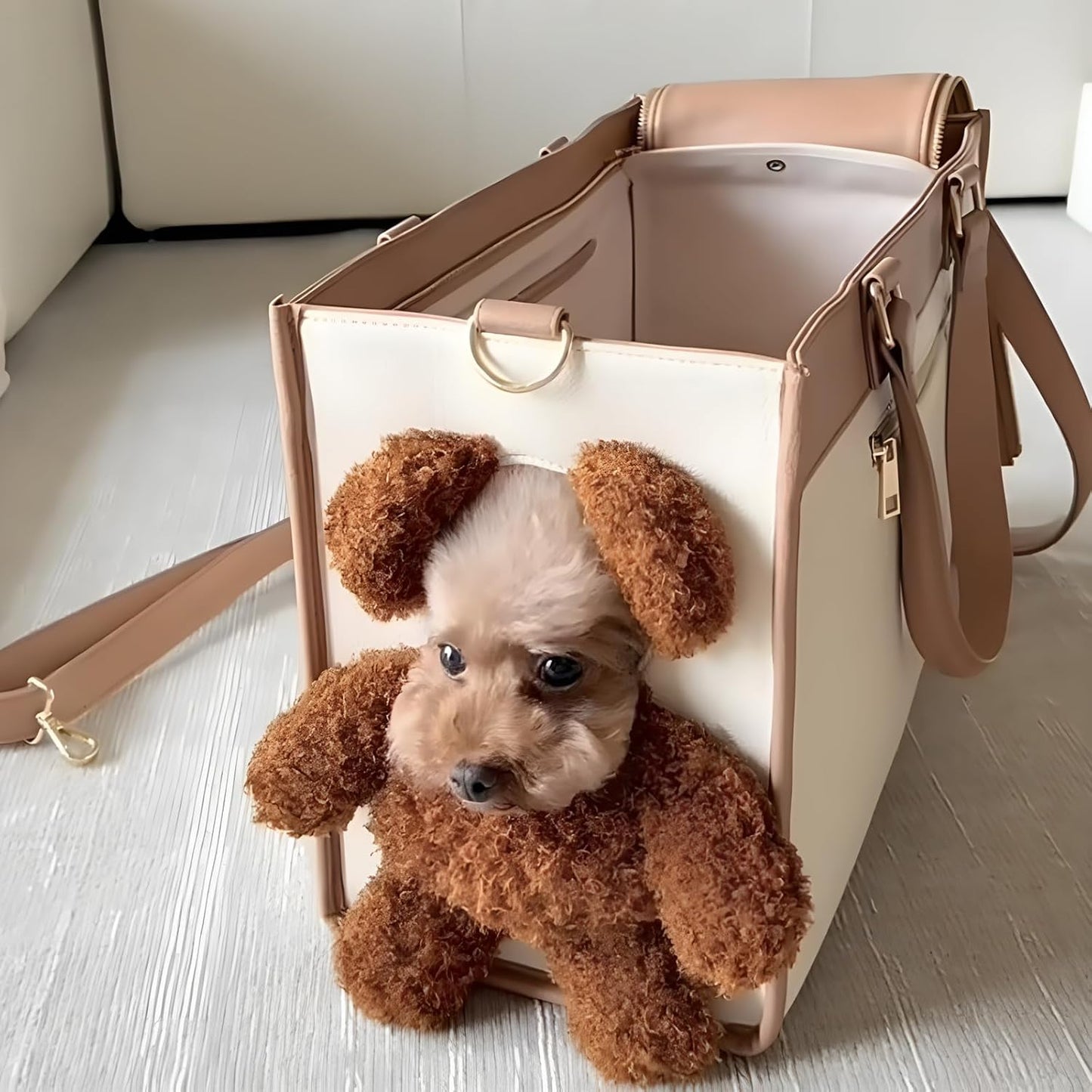 Teddy Peekaboo Maltese Carrier