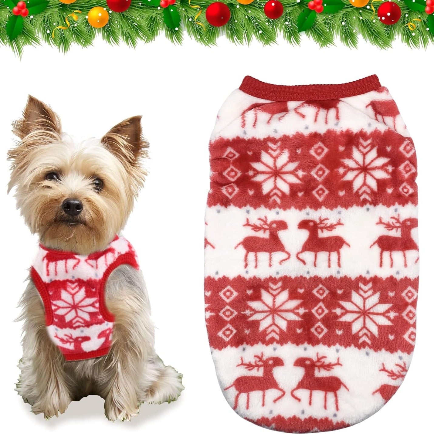 Christmas Costume