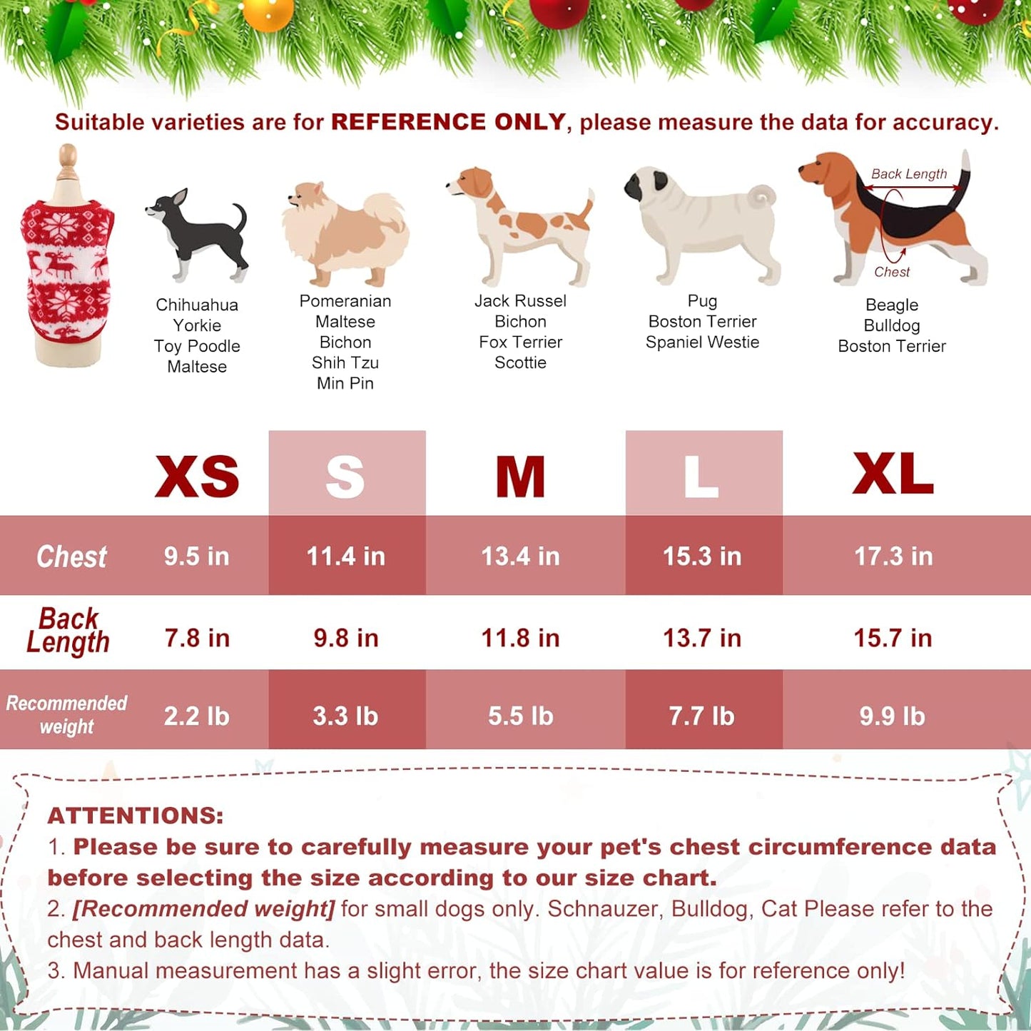 Christmas Costume