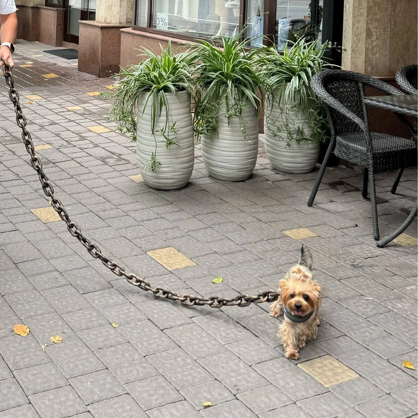 Mini Mighty Chain Leash