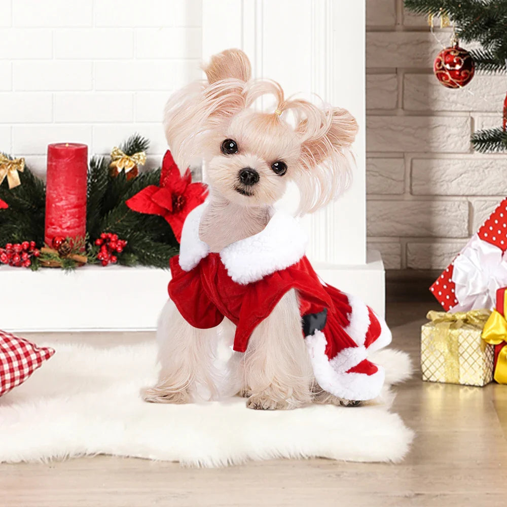 Dog Christmas Dress