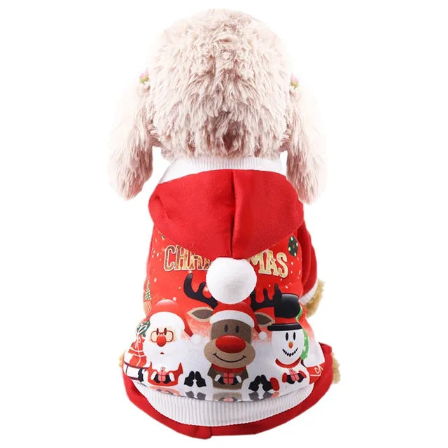 Christmas Sweater