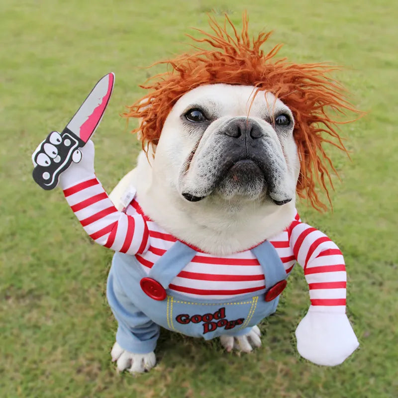 Funny Dog Costume