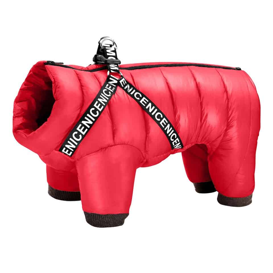 Dog Winter Jacket