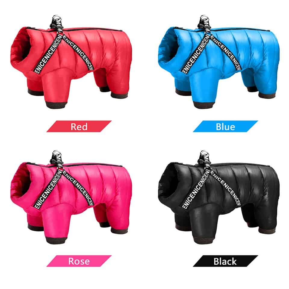 Dog Winter Jacket