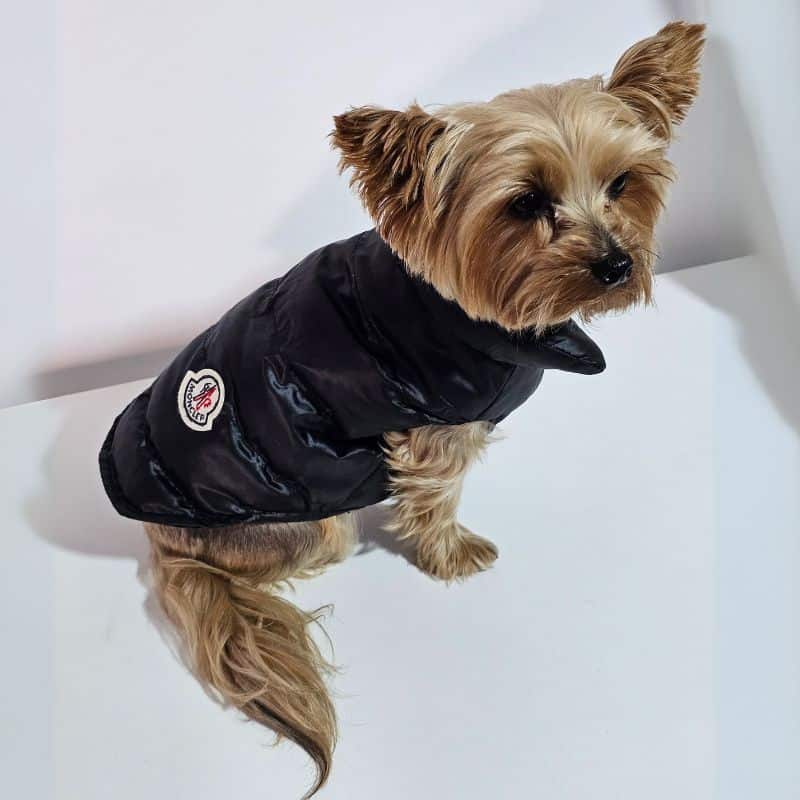 Monck Vest Jacket