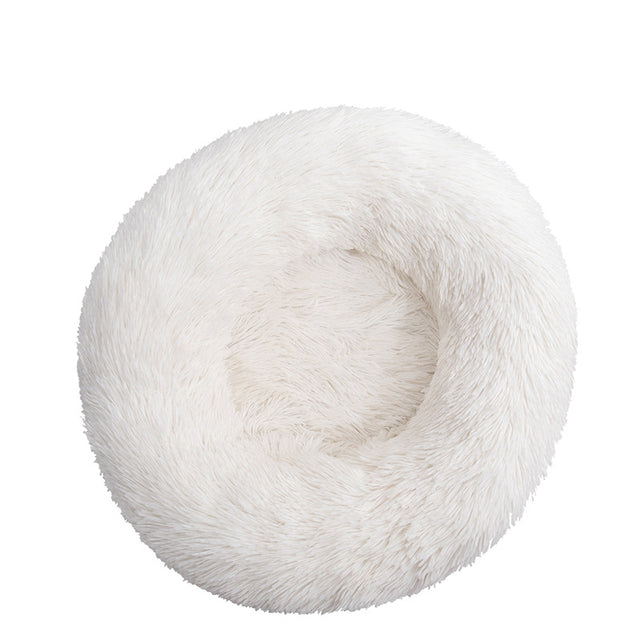 Maltese Calming Bed