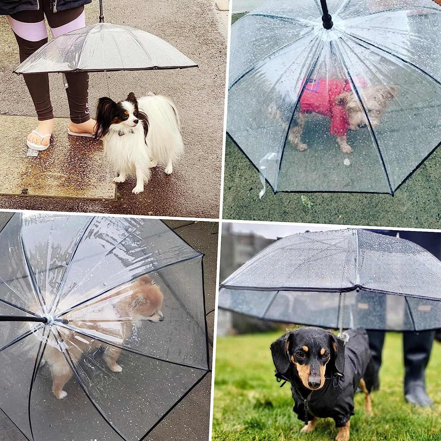 Umbrella With Leash
