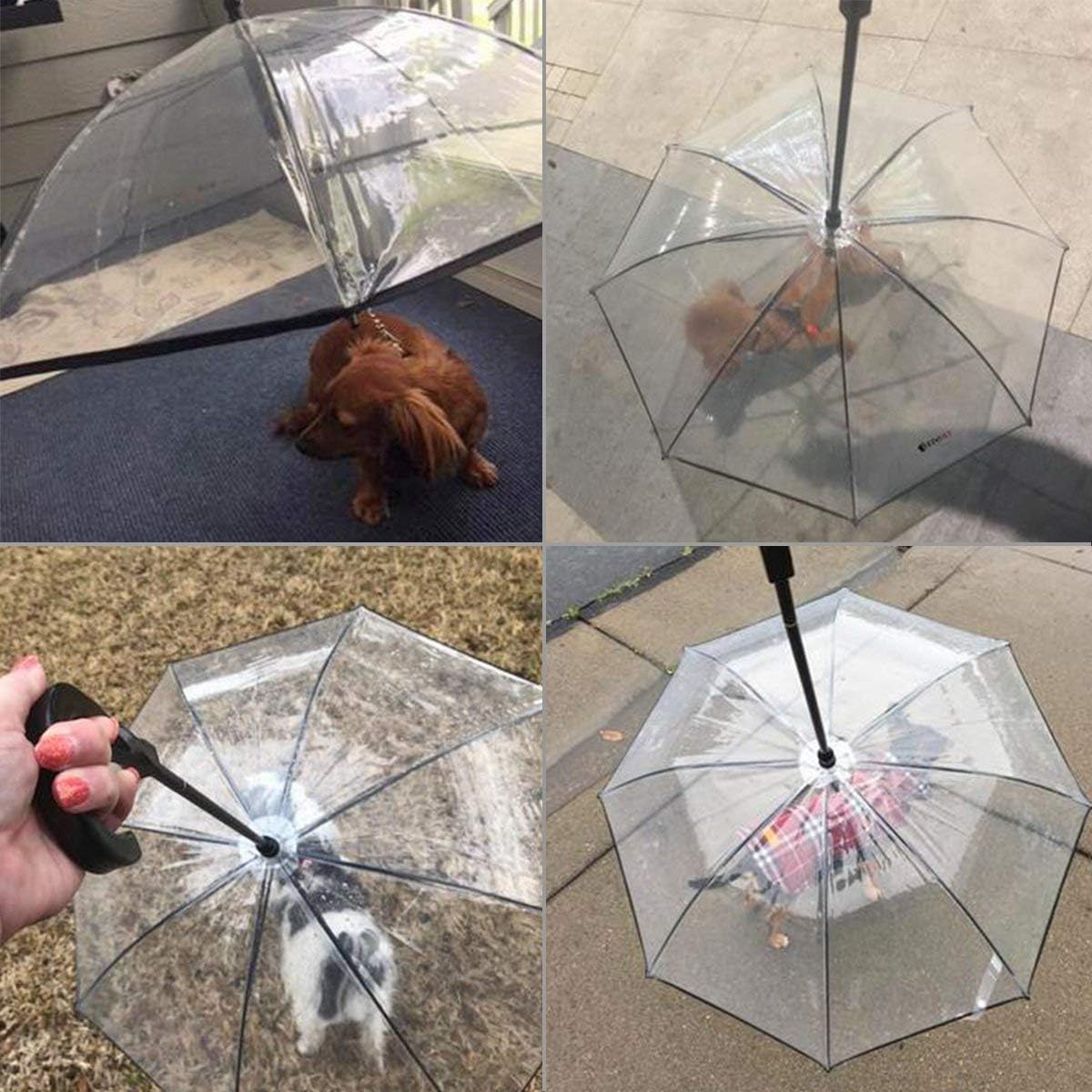 Umbrella With Leash