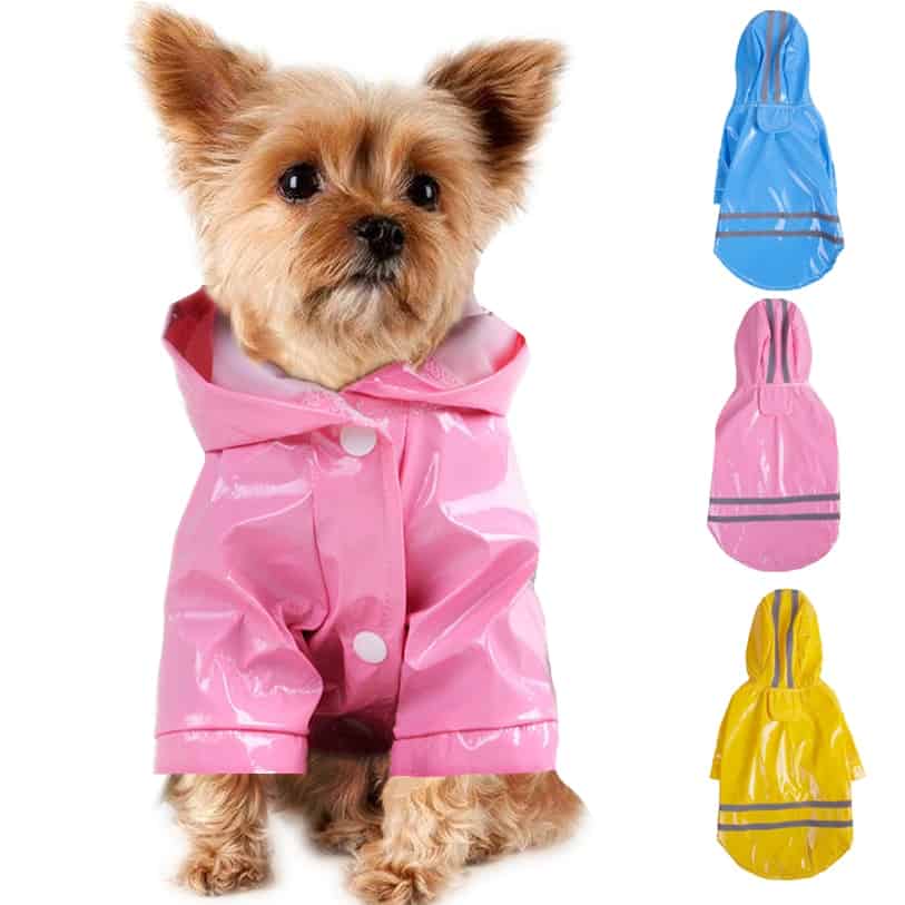 Dog Raincoat