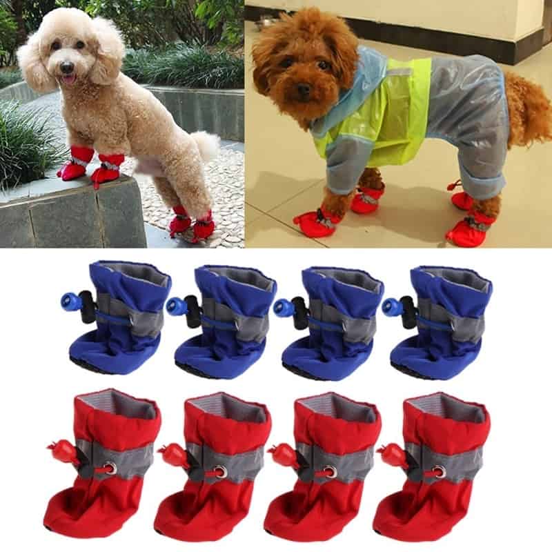 Waterproof Maltese Boots