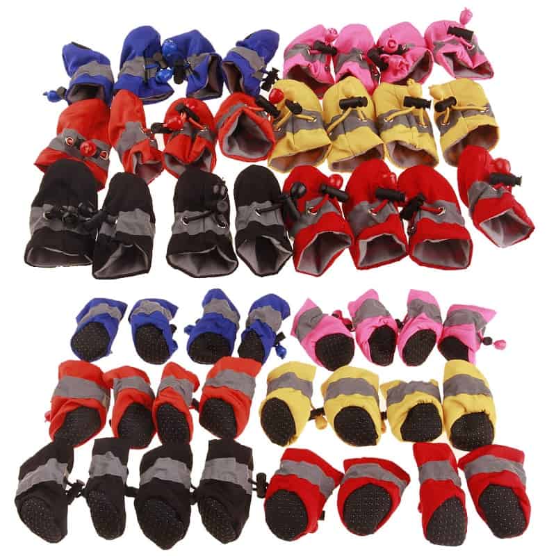 Waterproof Maltese Boots