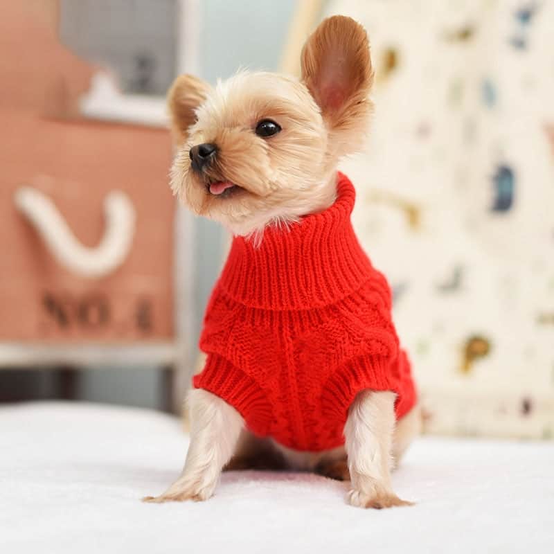 Wool Sweater