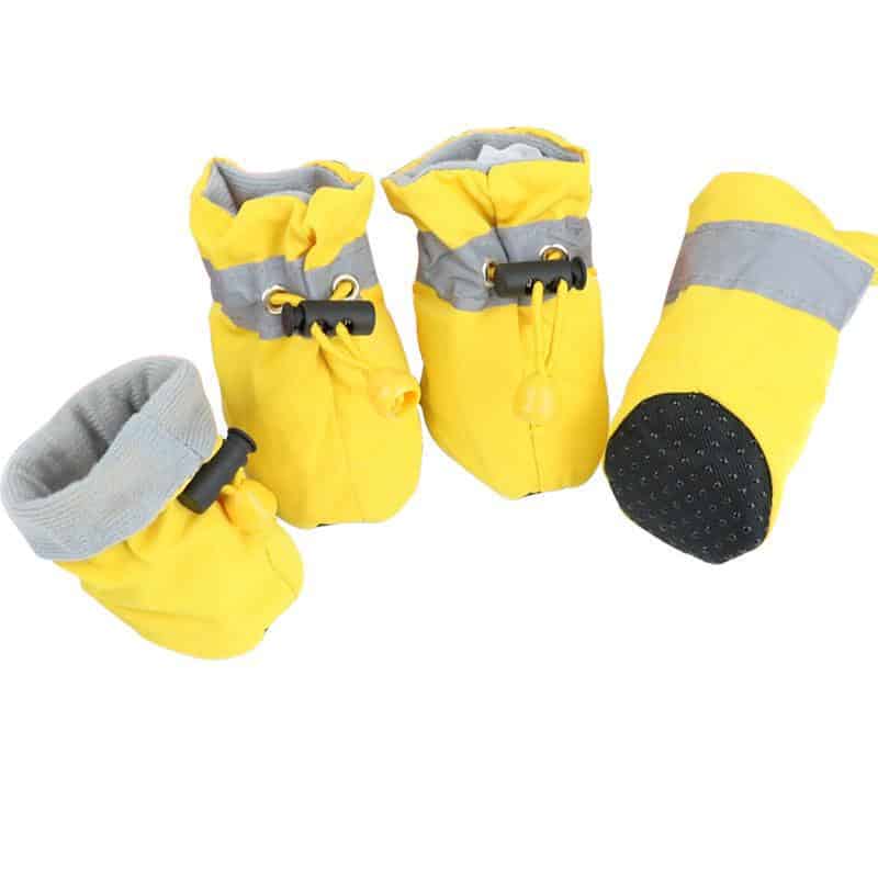 Waterproof Maltese Boots