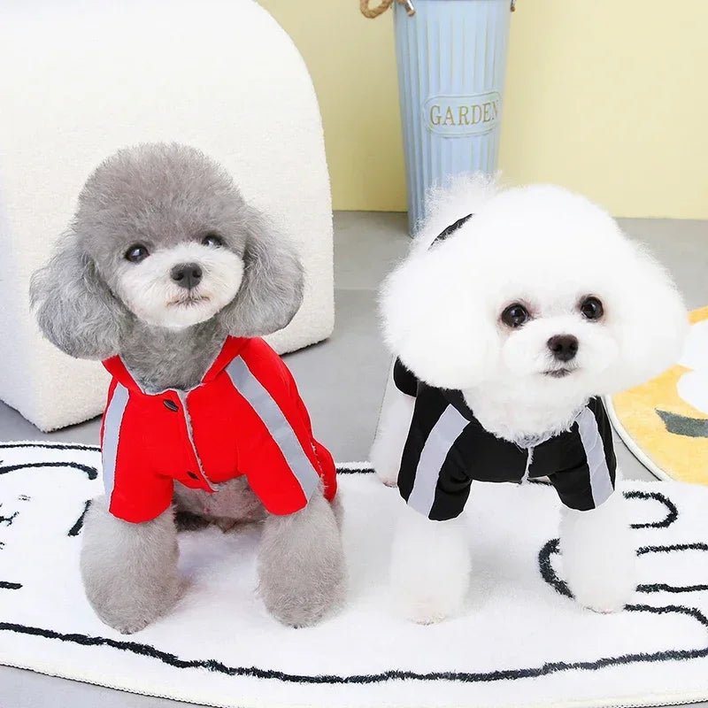 Winter Dog Coat