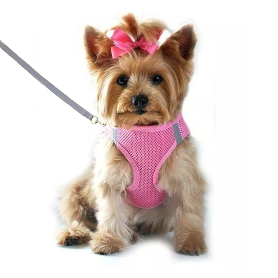 Dog Harness Leash Set