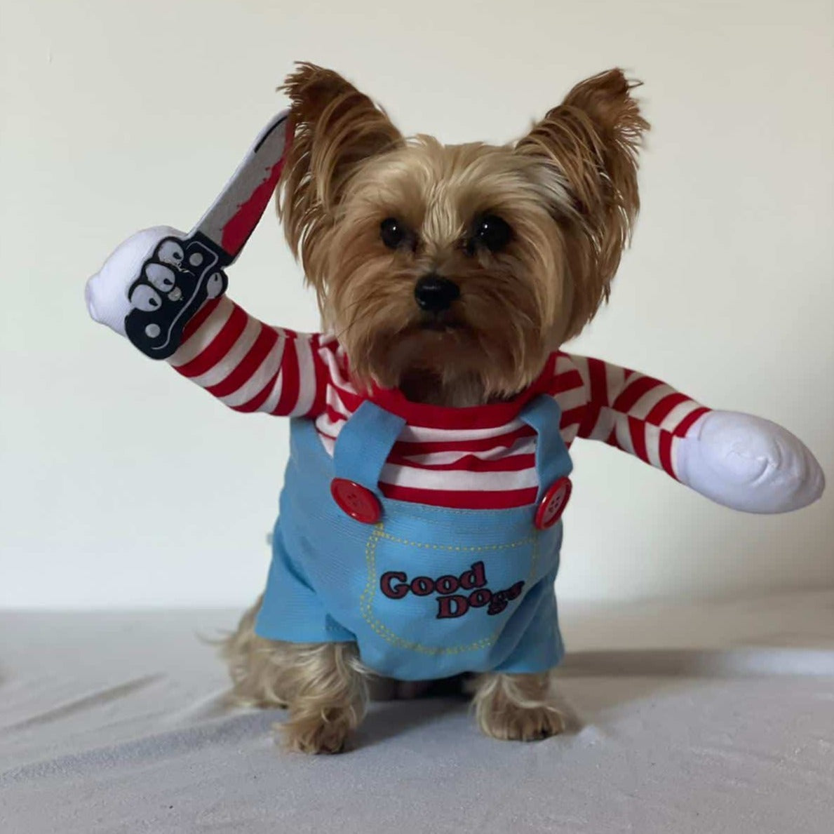 Funny Dog Costume