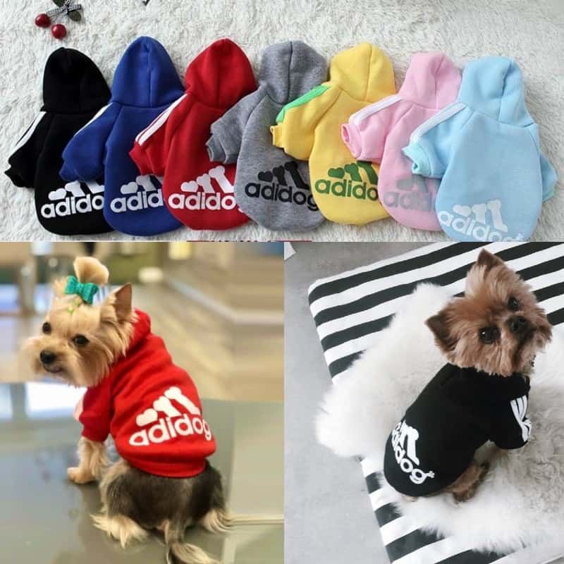 Maltese Adidog Hoodie