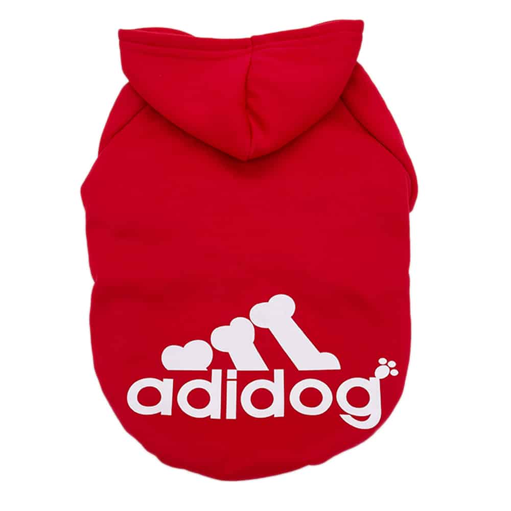 Maltese Adidog Hoodie