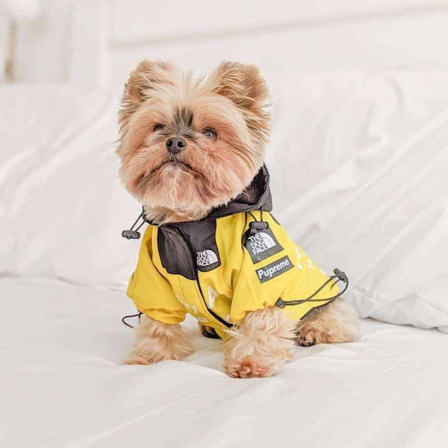 Dog Windbreaker