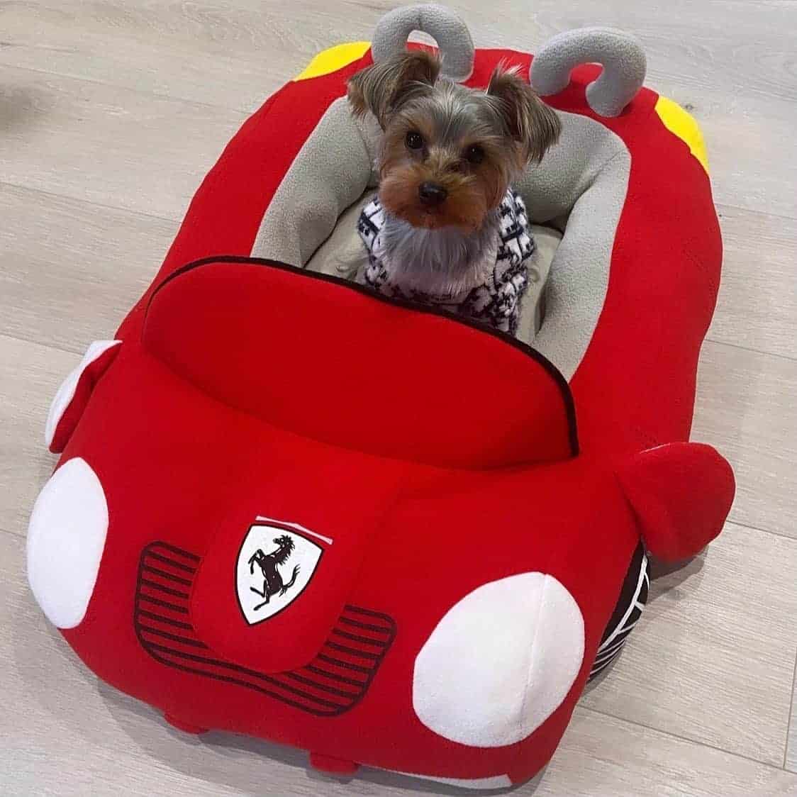 Ferrari Dog Bed