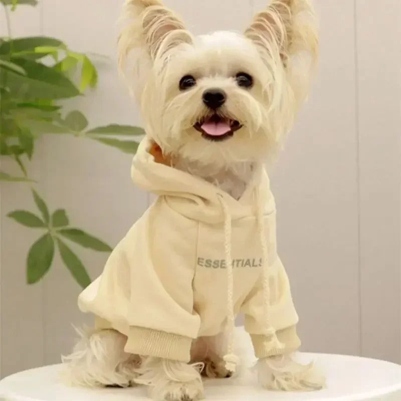 Maltese Essentials Sweatshirt