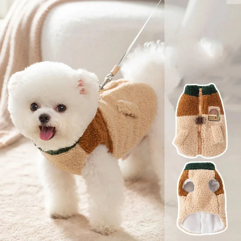 Maltese Teddy Jacket