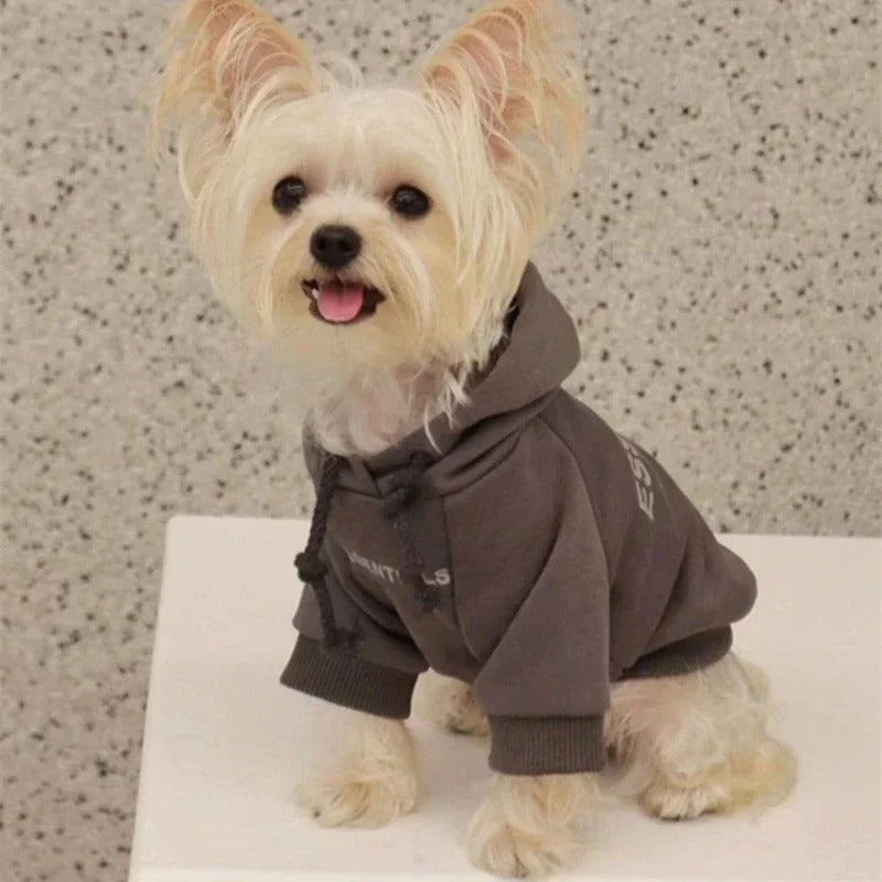 Maltese Essentials Sweatshirt