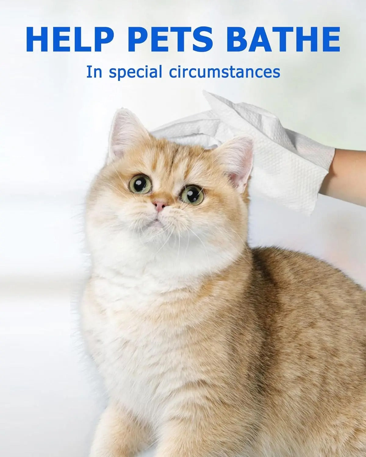 Wet Pet Gloves (6pcs)