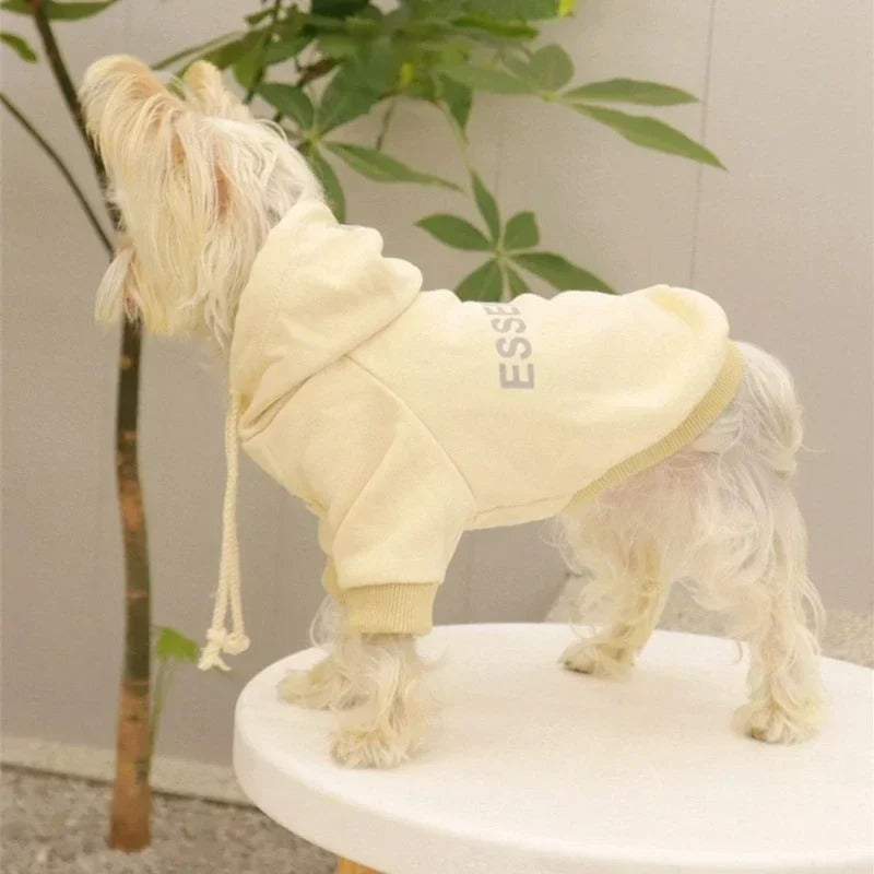Maltese Essentials Sweatshirt