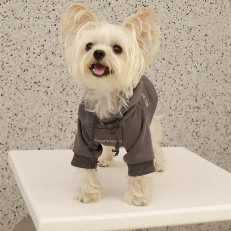 Maltese Essentials Sweatshirt