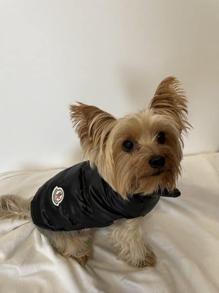 Monck Vest Jacket
