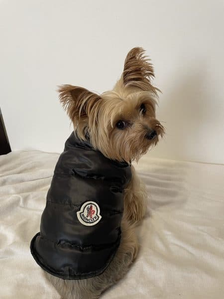 Monck Vest Jacket
