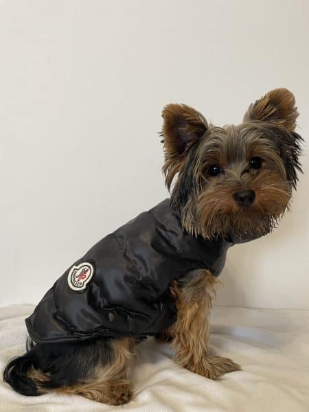 Monck Vest Jacket