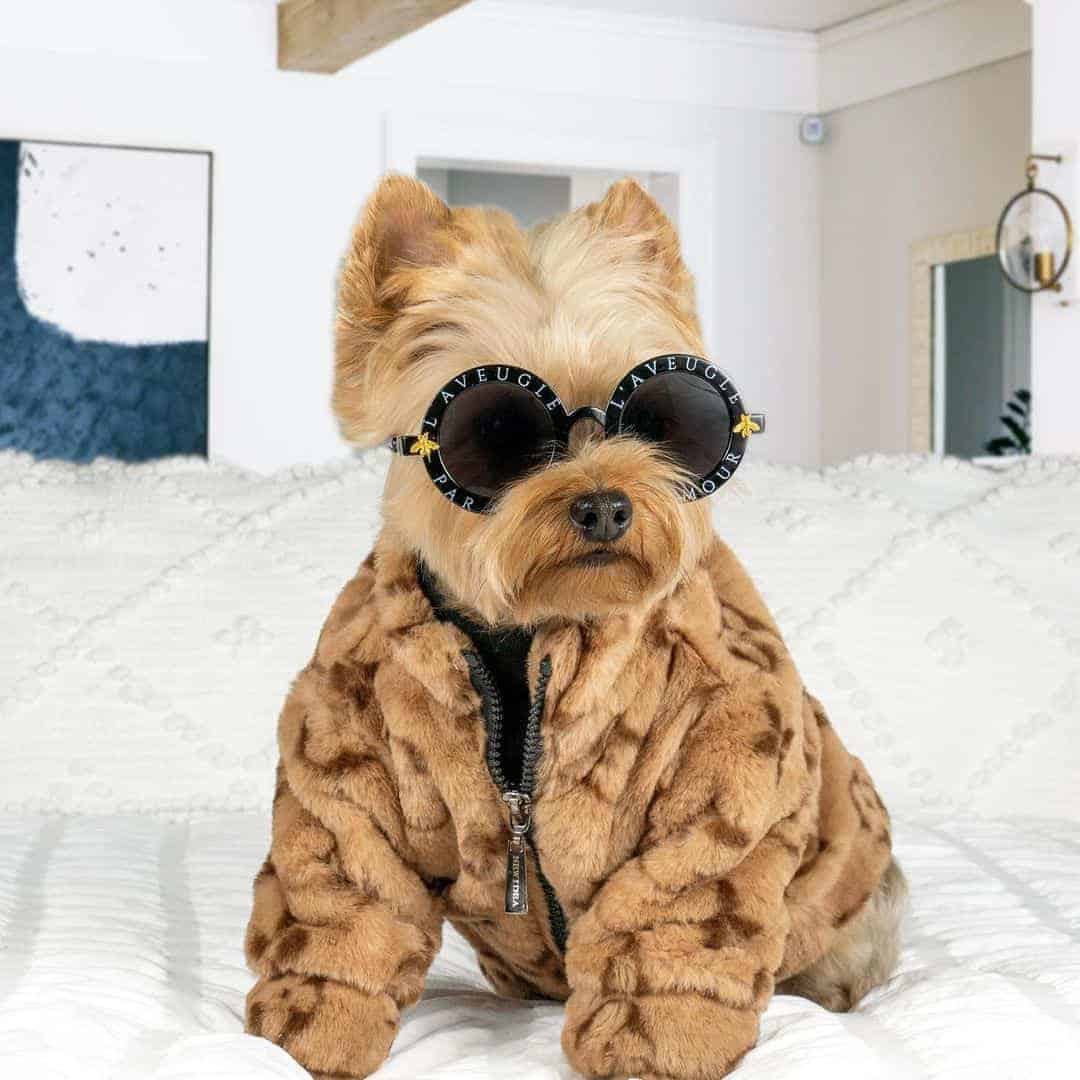 Chewy V Faux Fur Coat