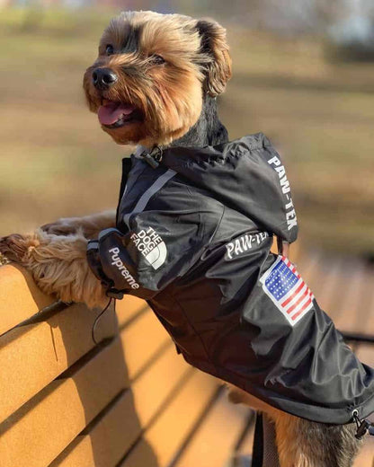 Dog Windbreaker