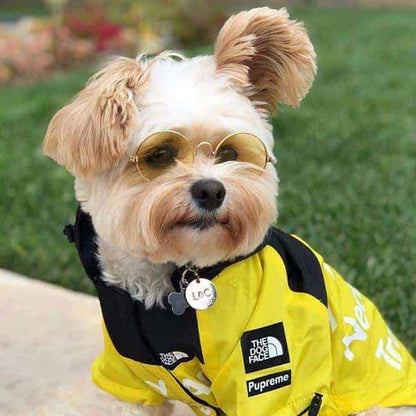 Dog Windbreaker
