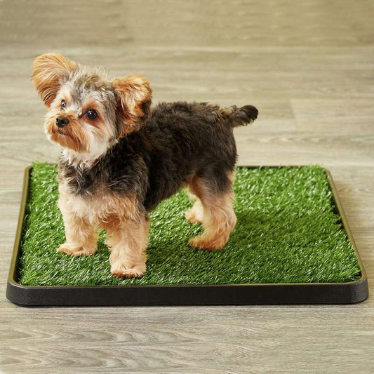 Grass Pee Pad