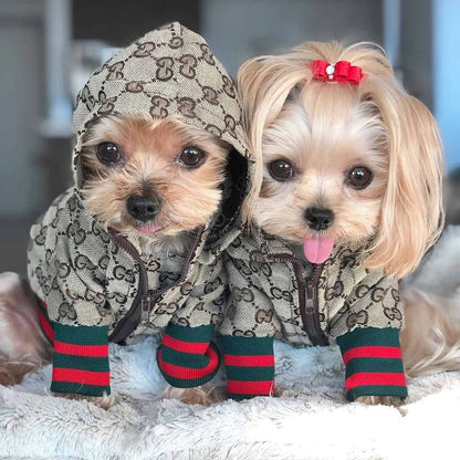 Stylish Dog Hoodie