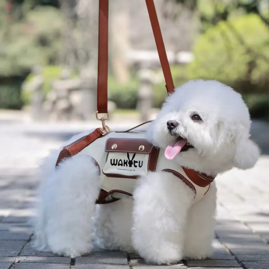 Pet Carry Bag