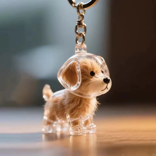 Dog Hair Memory Capsule