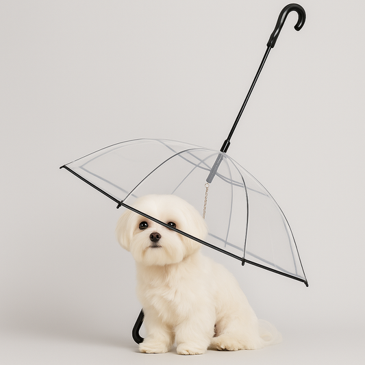 Umbrella With Leash